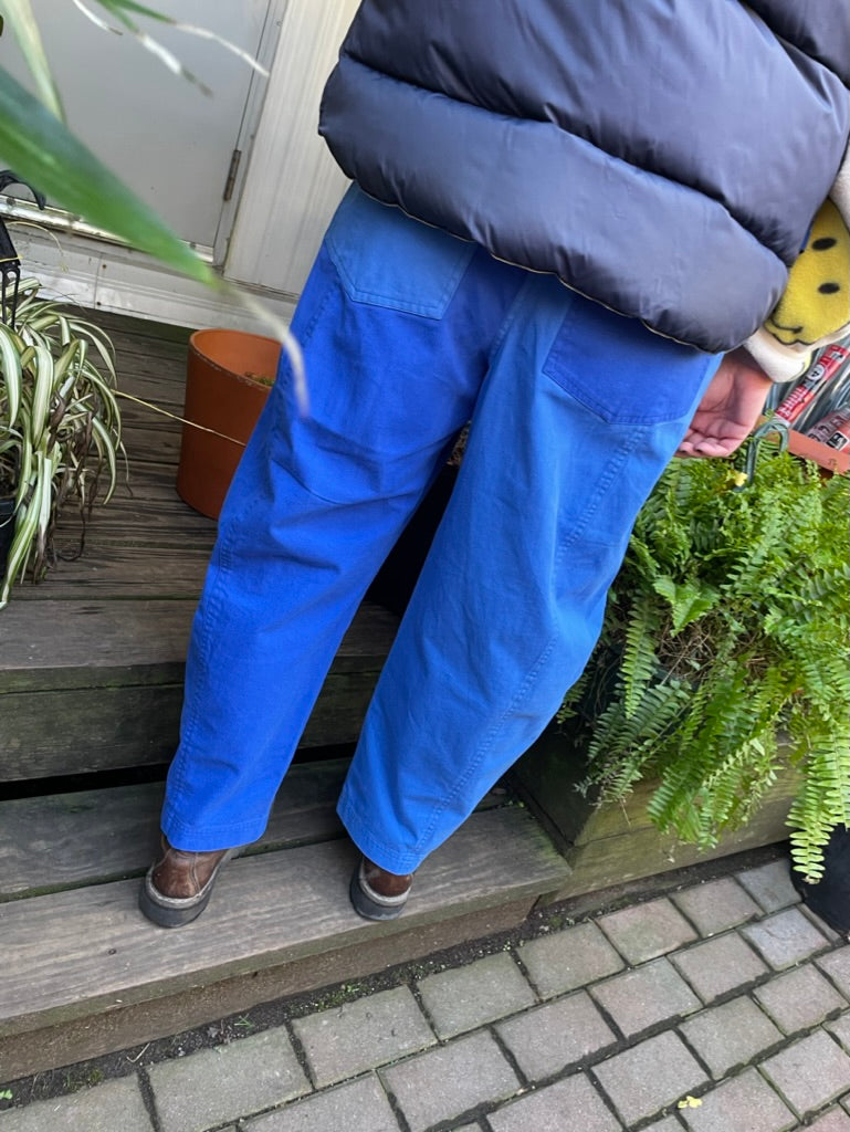 JANUS II PANT colorblock blue